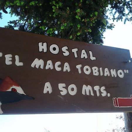 Hostel El Maca Tobiano 洛斯安蒂果斯 外观 照片