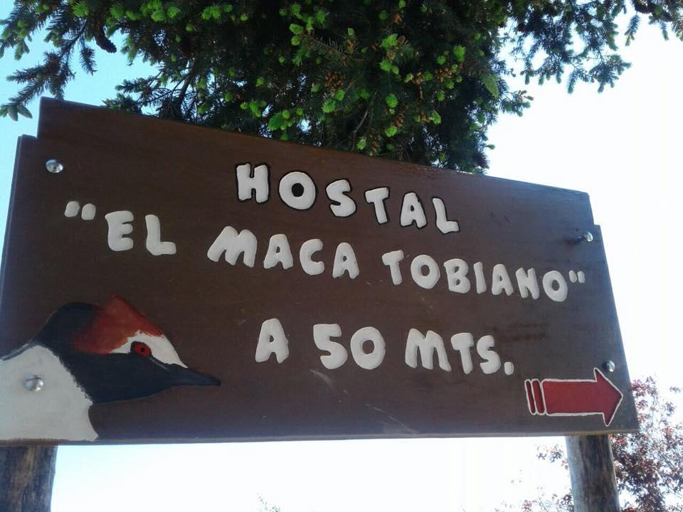 Hostel El Maca Tobiano 洛斯安蒂果斯 外观 照片